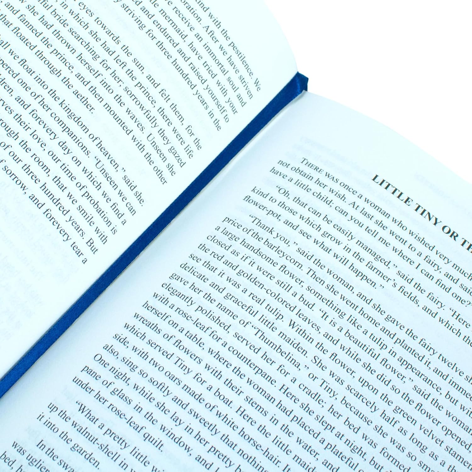 Complete Fairy Tales of Hans Christian Andersen – Deluxe Leather-Bound Edition - Hans Christian Andersen