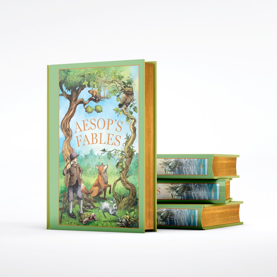 Aesop's Fables (Leather-Bound Edition) – Aesop | English Books