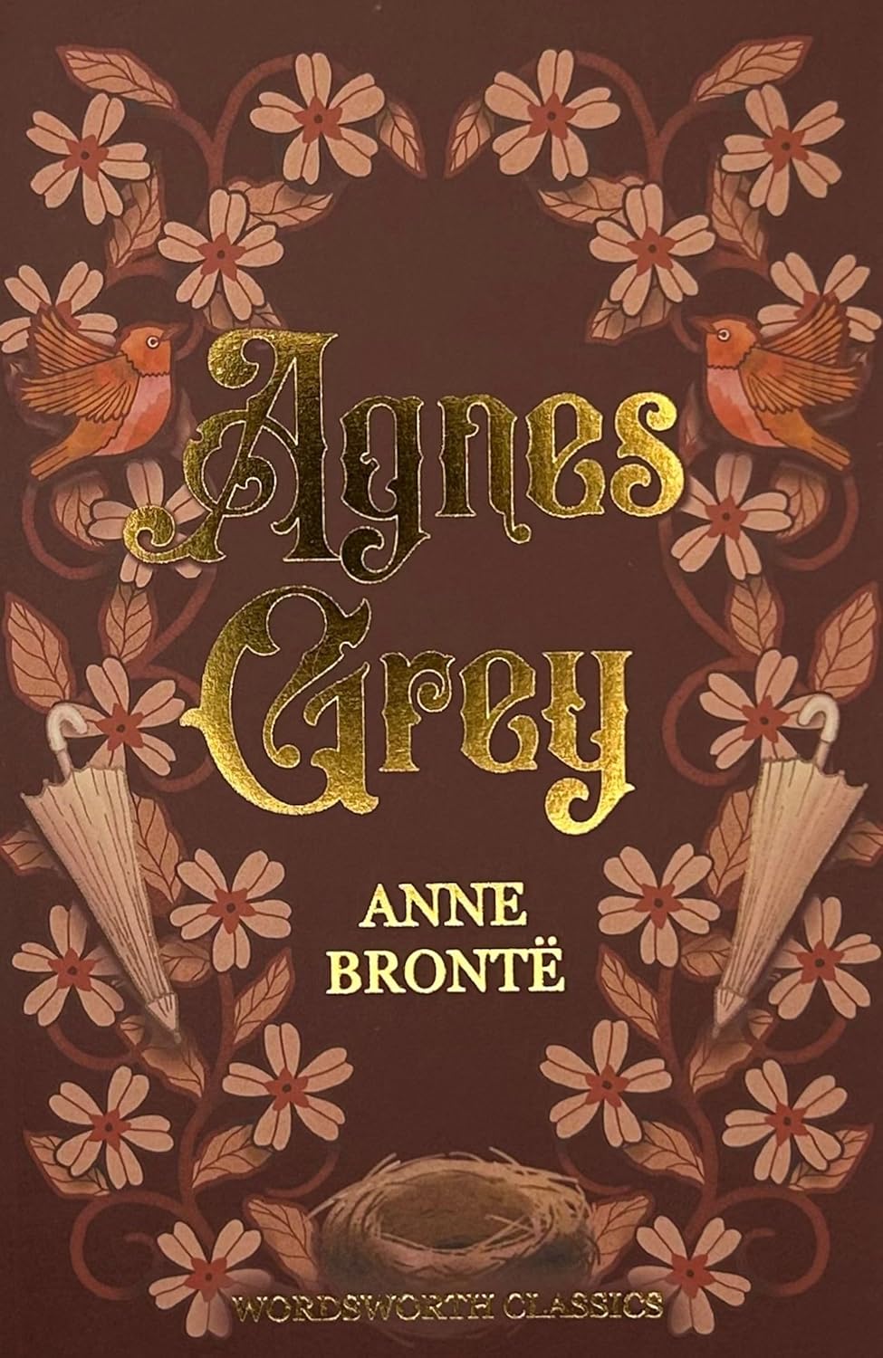 Book cover of 'Agnes Grey' by Anne Bronte with decorative elements on a brown background