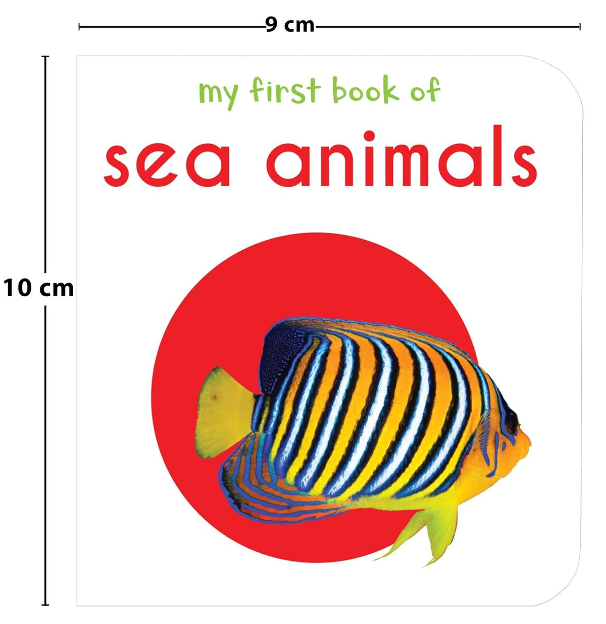 Book cover of 'My First Book of Sea Animals' with a colorful fish illustration on a red background.