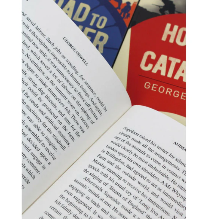 Open book with text and colorful book spines in the background