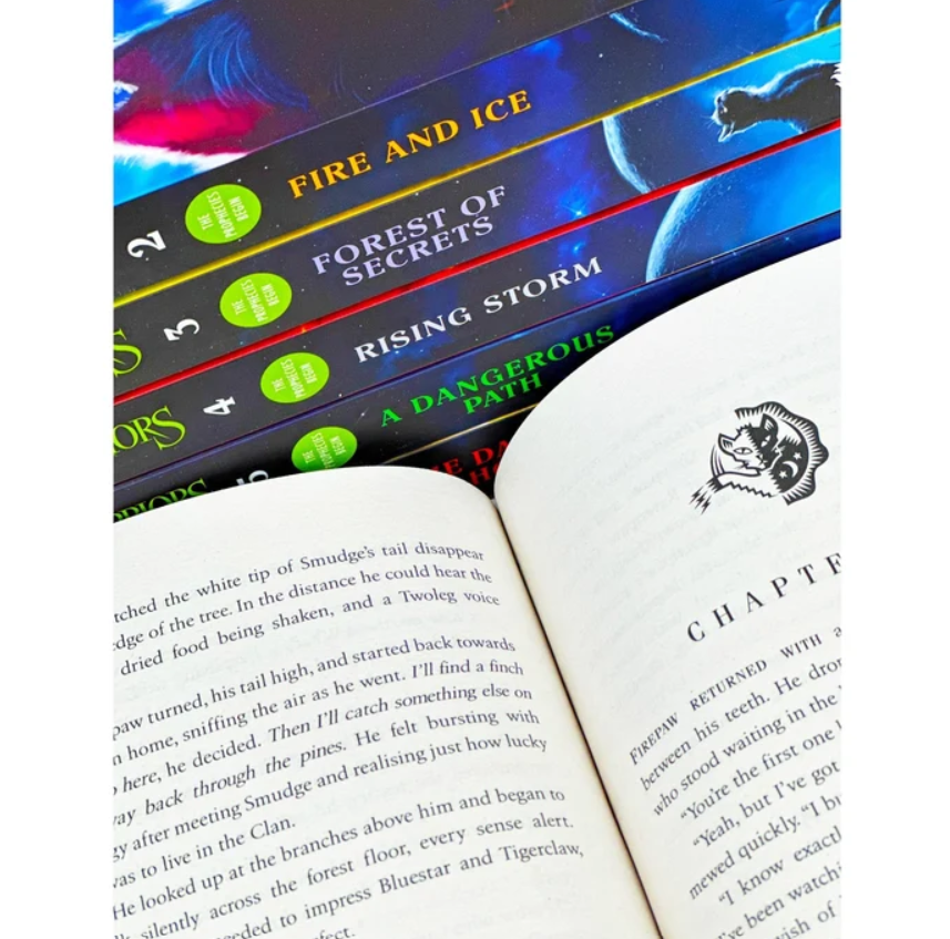 A stack of fantasy book covers in the series Fire and Ice, with an open book showing a chapter page in the foreground on a white background.
